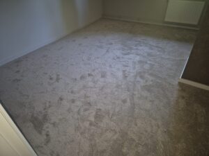 Tapijt gelegd in Staphorst