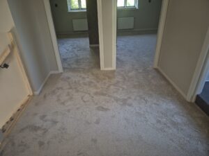 Tapijt gelegd in Staphorst